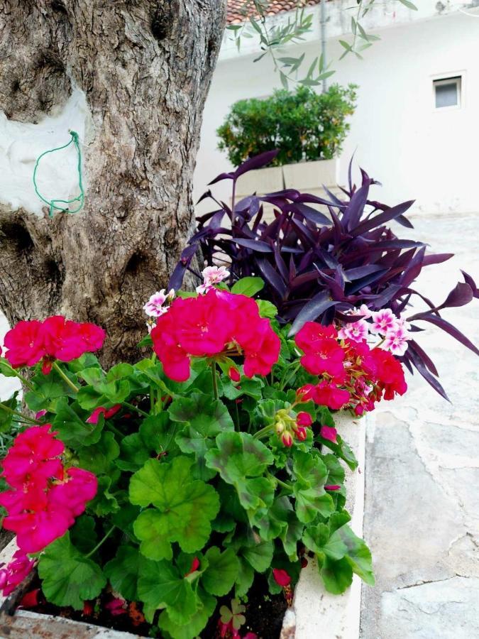 Apartments Djuro Rafailovic Budva Eksteriør bilde